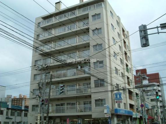 ドミ山鼻の外観