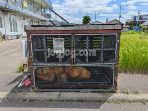 ブルーハイツのその他共用部分