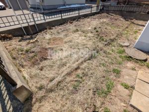 緑ケ丘拓北貸家１番の庭