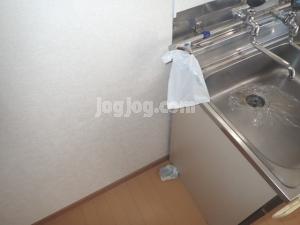 ロジェ浪花のその他