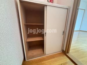 パレーシャルシティの収納