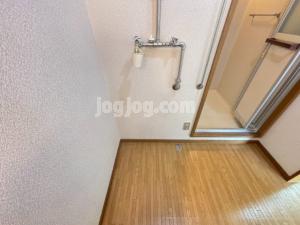 パレーシャルシティのその他