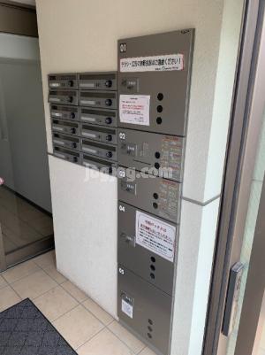 シャイニングドリーム八軒のエントランス