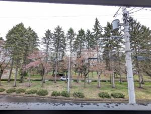 ピアチェーレ大通公園の展望