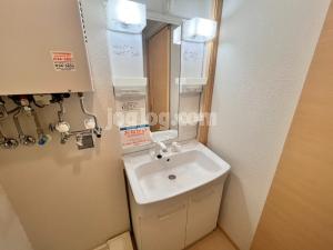 エルムプラシードＡ７号館の洗面所