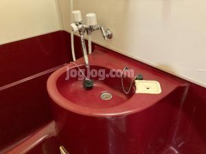 コーポラス桧の洗面所