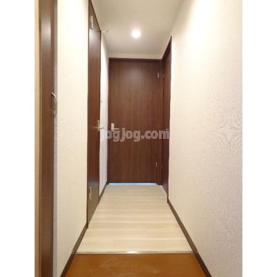 Ｇｒａｎ ｆｅｌｉｚ Ｎ１９のその他